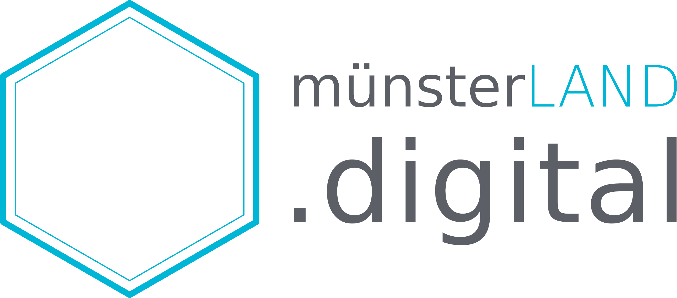 digitalhub